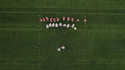 ترددقناةبيإنسبورتالعربيةالجديدعلىنايلسات2024